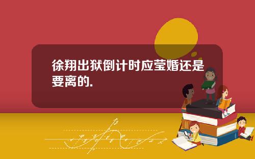 徐翔出狱倒计时应莹婚还是要离的.