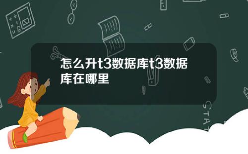 怎么升t3数据库t3数据库在哪里