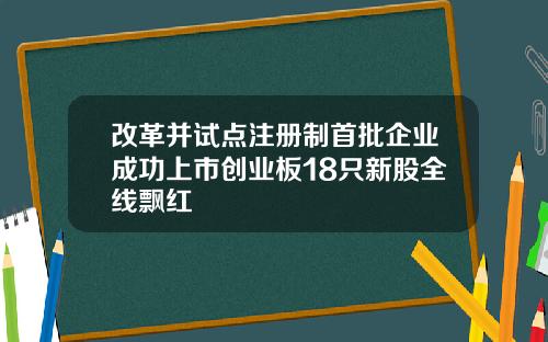改革并试点注册制首批企业成功上市创业板18只新股全线飘红