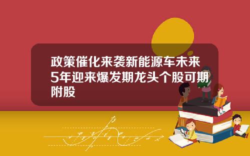 政策催化来袭新能源车未来5年迎来爆发期龙头个股可期附股