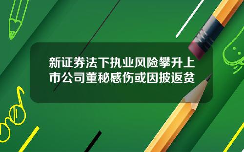 新证券法下执业风险攀升上市公司董秘感伤或因披返贫