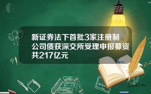 新证券法下首批3家注册制公司债获深交所受理申报募资共217亿元
