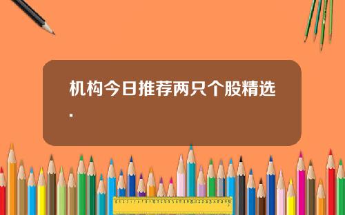 机构今日推荐两只个股精选.