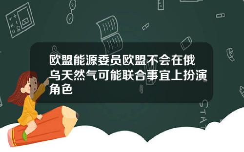 欧盟能源委员欧盟不会在俄乌天然气可能联合事宜上扮演角色