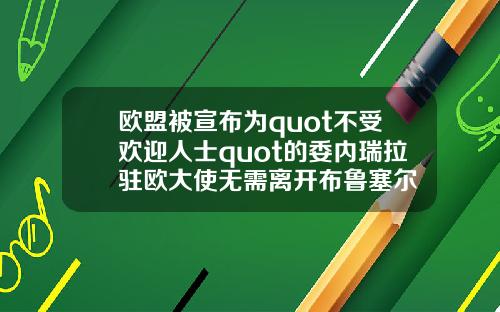 欧盟被宣布为quot不受欢迎人士quot的委内瑞拉驻欧大使无需离开布鲁塞尔