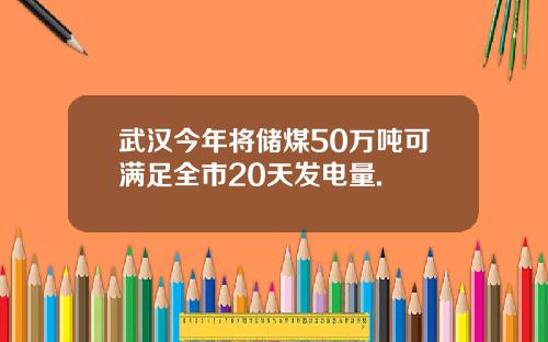 武汉今年将储煤50万吨可满足全市20天发电量.