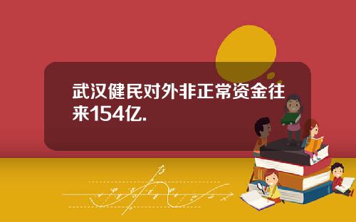 武汉健民对外非正常资金往来154亿.