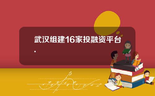 武汉组建16家投融资平台.