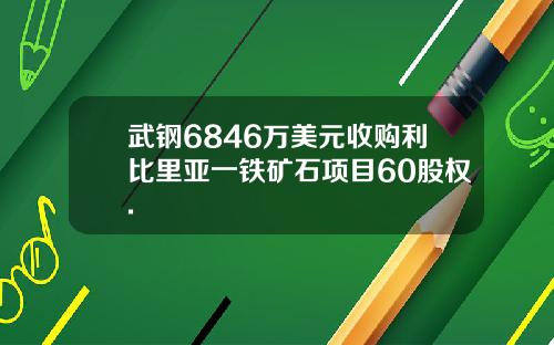 武钢6846万美元收购利比里亚一铁矿石项目60股权.