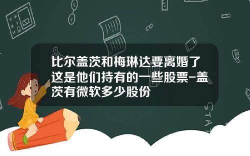 比尔盖茨和梅琳达要离婚了这是他们持有的一些股票-盖茨有微软多少股份