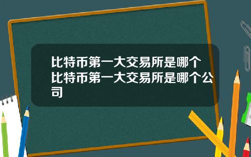 比特币第一大交易所是哪个比特币第一大交易所是哪个公司