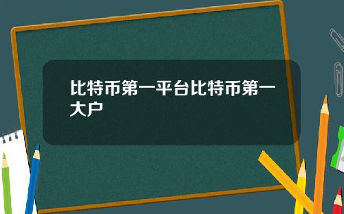 比特币第一平台比特币第一大户