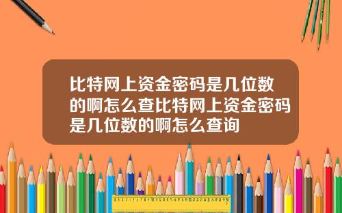比特网上资金密码是几位数的啊怎么查比特网上资金密码是几位数的啊怎么查询
