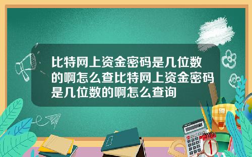 比特网上资金密码是几位数的啊怎么查比特网上资金密码是几位数的啊怎么查询