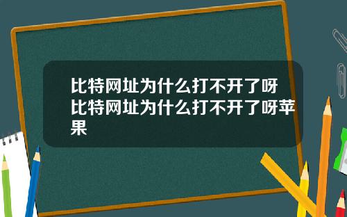 比特网址为什么打不开了呀比特网址为什么打不开了呀苹果