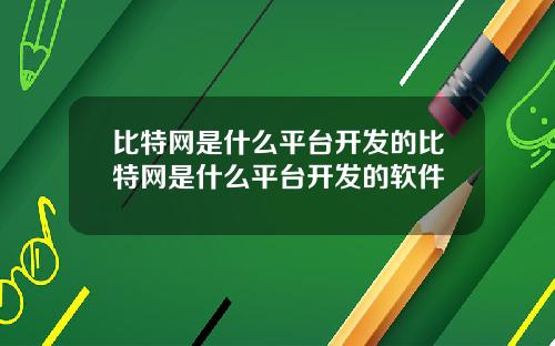 比特网是什么平台开发的比特网是什么平台开发的软件