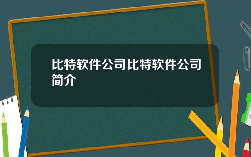 比特软件公司比特软件公司简介
