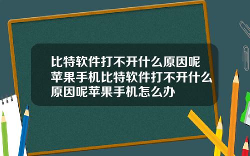 比特软件打不开什么原因呢苹果手机比特软件打不开什么原因呢苹果手机怎么办