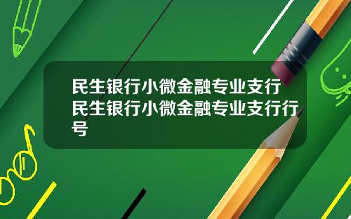 民生银行小微金融专业支行民生银行小微金融专业支行行号