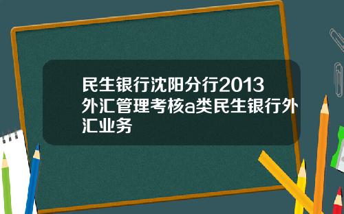 民生银行沈阳分行2013外汇管理考核a类民生银行外汇业务