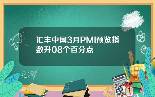 汇丰中国3月PMI预览指数升08个百分点