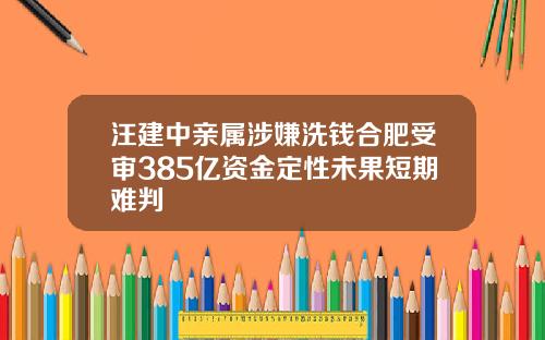 汪建中亲属涉嫌洗钱合肥受审385亿资金定性未果短期难判