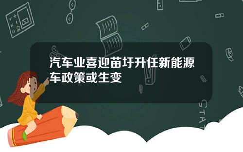 汽车业喜迎苗圩升任新能源车政策或生变