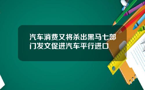 汽车消费又将杀出黑马七部门发文促进汽车平行进口