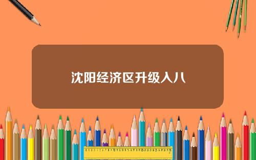 沈阳经济区升级入八