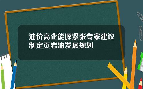 油价高企能源紧张专家建议制定页岩油发展规划