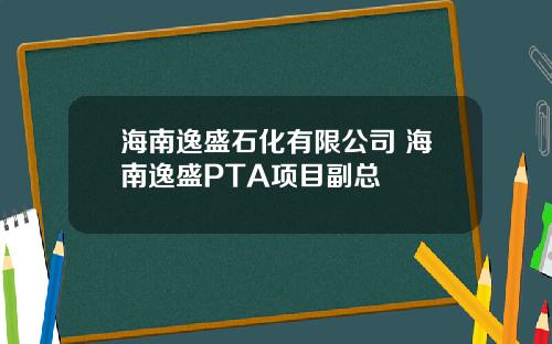 海南逸盛石化有限公司 海南逸盛PTA项目副总