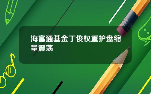 海富通基金丁俊权重护盘缩量震荡