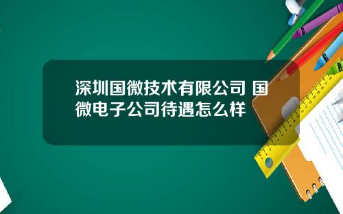 深圳国微技术有限公司 国微电子公司待遇怎么样