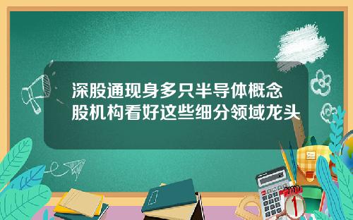 深股通现身多只半导体概念股机构看好这些细分领域龙头