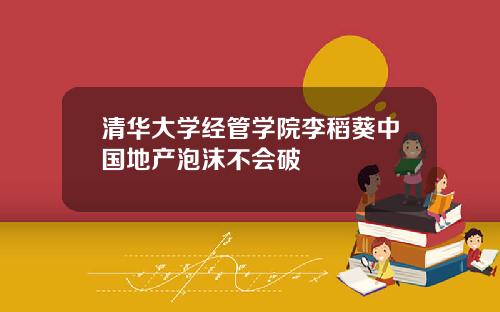 清华大学经管学院李稻葵中国地产泡沫不会破