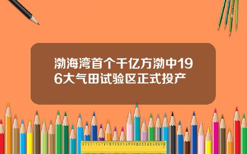渤海湾首个千亿方渤中196大气田试验区正式投产