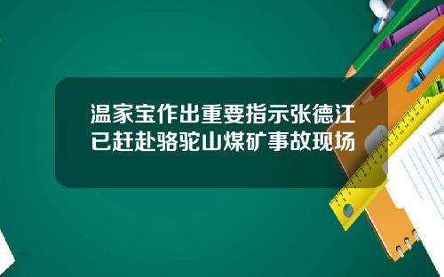 温家宝作出重要指示张德江已赶赴骆驼山煤矿事故现场