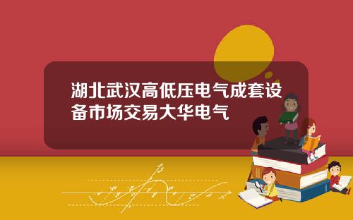 湖北武汉高低压电气成套设备市场交易大华电气