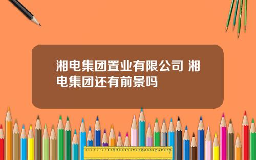 湘电集团置业有限公司 湘电集团还有前景吗