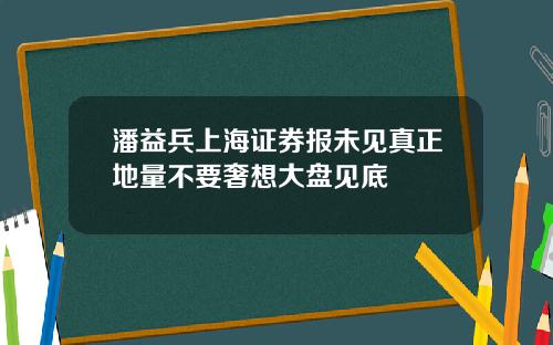 潘益兵上海证券报未见真正地量不要奢想大盘见底