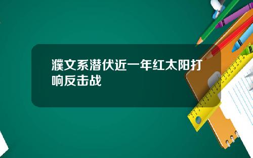 濮文系潜伏近一年红太阳打响反击战