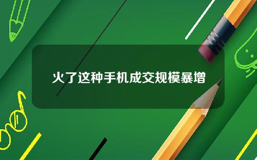 火了这种手机成交规模暴增