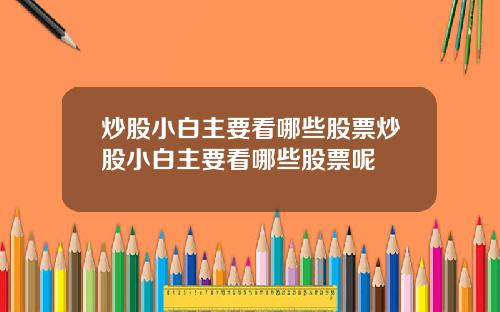 炒股小白主要看哪些股票炒股小白主要看哪些股票呢