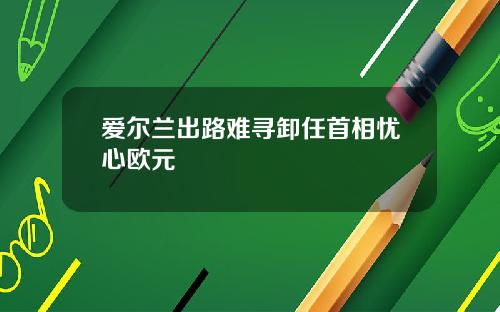 爱尔兰出路难寻卸任首相忧心欧元
