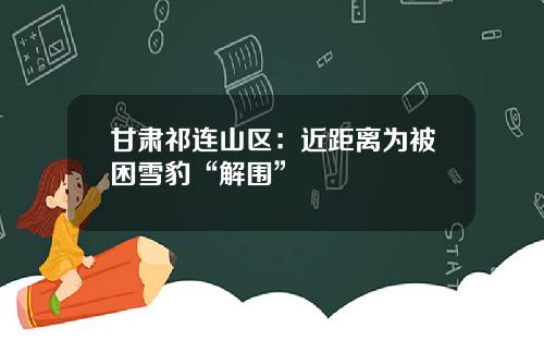 甘肃祁连山区：近距离为被困雪豹“解围”