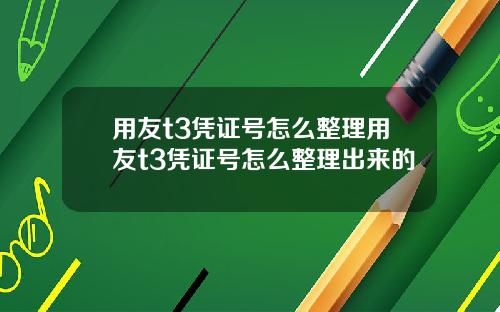 用友t3凭证号怎么整理用友t3凭证号怎么整理出来的