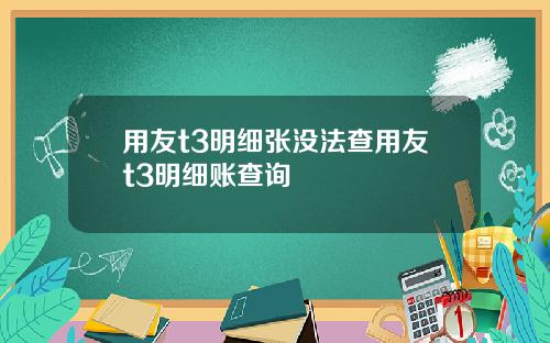 用友t3明细张没法查用友t3明细账查询