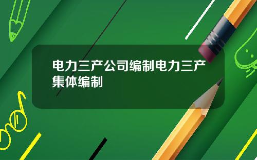 电力三产公司编制电力三产集体编制