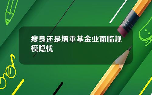 瘦身还是增重基金业面临规模隐忧