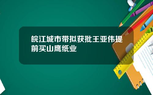 皖江城市带拟获批王亚伟提前买山鹰纸业